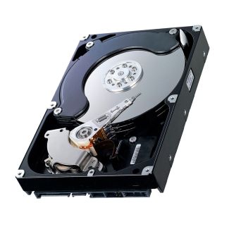 HP 160GB 7200RPM SATA 1.5Gb/s 3.5-inch Hard Disk Drive